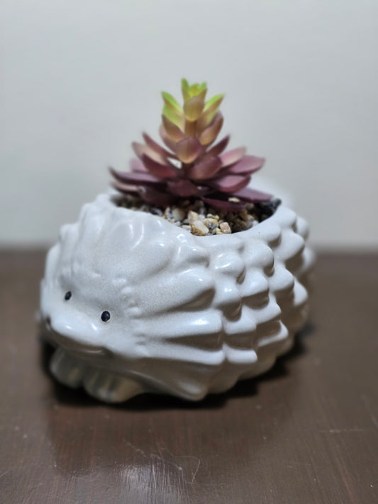 Hedgehog Concrete Planter (Decoration not included)