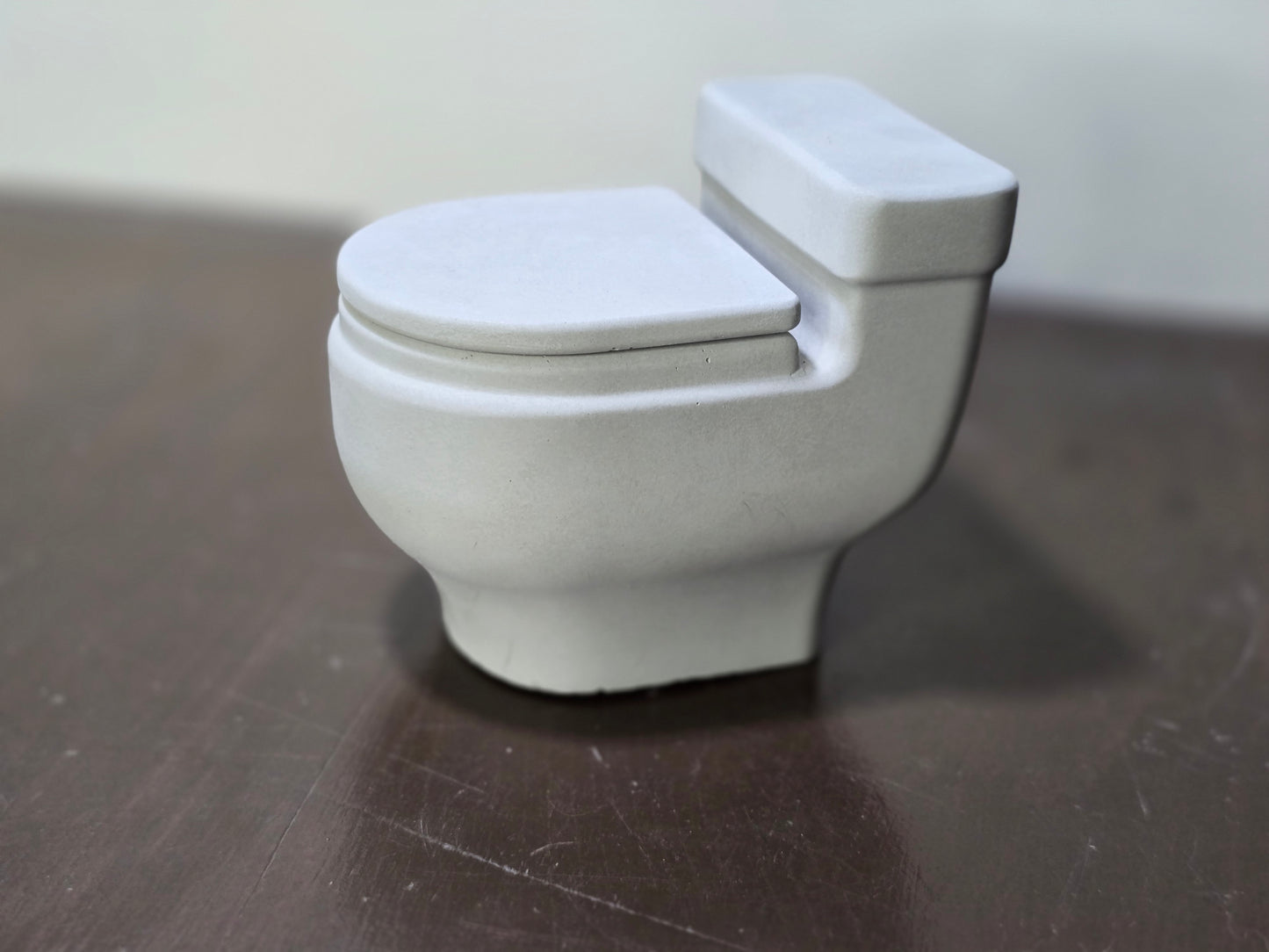 Mini Concrete Toilet Planter – The Funniest Piece Your Space Needs